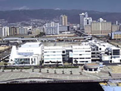 2002.3継　神戸国際大学